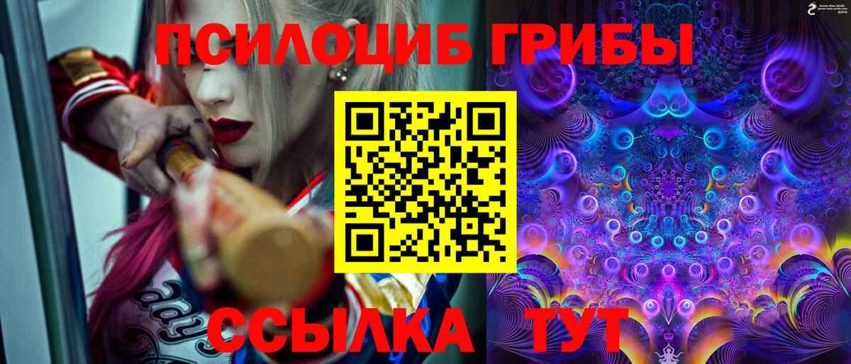 Псилоцибиновые грибы Cubensis Кувандык