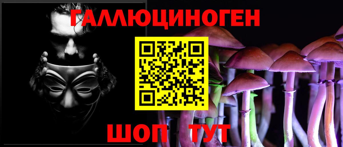 Псилоцибиновые грибы GOLDEN TEACHER  Галлюциногенные грибы Psilocybe  Кувандык  Вход с VPN 